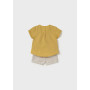 COMPL.PANTALONE CORTO