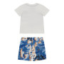 SET   GUESS