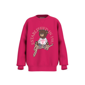 FELPE               FELPE MANICA LUNGA