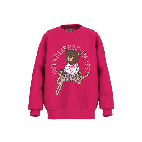 FELPE               FELPE MANICA LUNGA